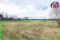 Дом 37 м² Швабский сельский Совет, Беларусь