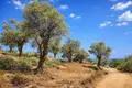 Land 14 521 m² Megali Panagia, Greece