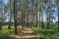 Atterrir 510 m² Czerwonak, Pologne