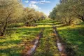 Parcelas 5 000 m² Nea Triglia, Grecia