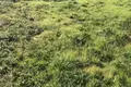 Land 477 m² Kolašin Municipality, Montenegro