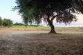 Land  Epirus, Greece