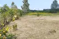 House 49 m² Dziescanski sielski Saviet, Belarus