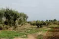 Atterrir 1 chambre  Kriopigi, Grèce