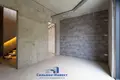 Cottage 438 m² Minsk, Belarus