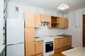 1 room apartment 60 m² Minsk, Belarus