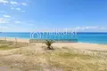 Atterrir 16 000 m² Sozopoli, Grèce