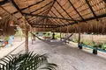 Коттедж 10 комнат 3 355 м² San Jorge, Колумбия