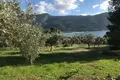 Land 1 room  Municipality of Mandra-Eidyllia, Greece