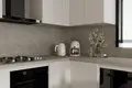 Mieszkanie 1 pokój 65 m² Ayaz, Turcja