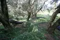 Land 1 room  Valanio, Greece