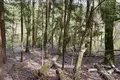 Działki  Buzarovo, Rosja