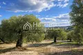 Atterrir 10 941 m² Chaniotis, Grèce