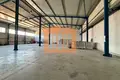 Manufacture 225 m² in Bashkia Durres, Albania