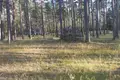 Gewerbefläche 1 455 m² Syckava, Belarus