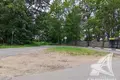 Grundstück  Telminski sielski Saviet, Belarus