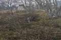Земельные участки  Фанипольский сельский Совет, Беларусь