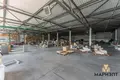 Warehouse 1 room 1 115 m² in Kalodziscanski sielski Saviet, Belarus