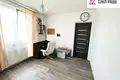Mieszkanie 3 pokoi 60 m² Nova Role, Czechy