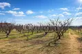 Parcelas 5 400 m² Nea Plagia, Grecia