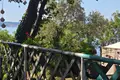 1 bedroom Villa 53 m² Grad Rijeka, Croatia