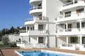 Penthouse 3 bedrooms 241 m² Pecurice, Montenegro