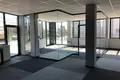 Commercial property 305 m² in Stara Iwiczna, Poland