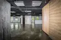 Коммерческое помещение 223 м² в Минске, Беларусь