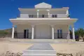 4 bedroom Villa 163 m² el Pinos Pinoso, Spain