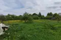 Haus 55 m² Vasilinki, Belarus
