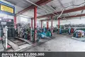 Propiedad comercial 1 632 m² en Gustavsburg, Alemania