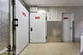 Коммерческое помещение 1 комната 241 м² в Минске, Беларусь
