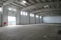 Nieruchomości komercyjne 7 472 m² Jagodje, Słowenia