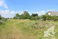 Haus 50 m² Rakitnicki sielski Saviet, Belarus