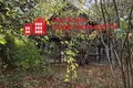 Haus 99 m² Viercialiskauski sielski Saviet, Belarus