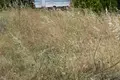 Parcelas  Limenaria, Grecia