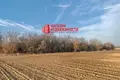 Haus 99 m² Viercialiskauski sielski Saviet, Belarus