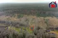 Dom 61 m² Visnieuski sielski Saviet, Białoruś