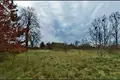 Mieszkanie 1 111 m² Kiekrz, Polska