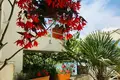 Villa de 3 habitaciones 170 m² Kruce Kerruci, Montenegro