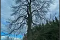 Mieszkanie 1 111 m² Kiekrz, Polska