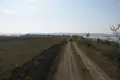Земельные участки  Елизаветовка, Украина