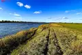 Działki  rejon szyłokarczemski, Litwa