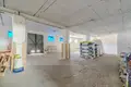 Apartment 5 000 m² Bialosliwie, Poland