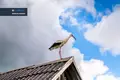 Parcelas  Vilna, Lituania