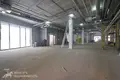 Commercial property 200 m² in Zdanovicki sielski Saviet, Belarus