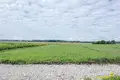 Land  Papiarnianski sielski Saviet, Belarus