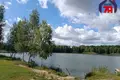 Дом 58 м² Лебедевский сельский Совет, Беларусь