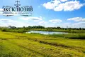 Wohnung 2 zimmer 66 m² Navasielle, Belarus
