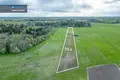 Land  Sirvintos, Lithuania